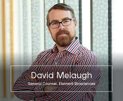 David Melaugh