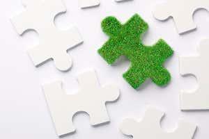 Green puzzle